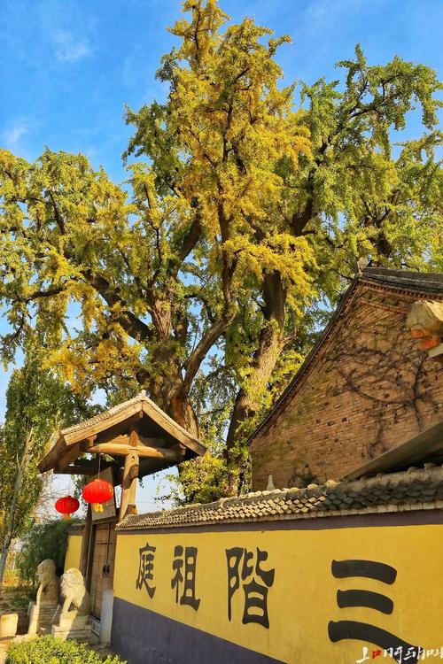 低调是站在山顶上的矮树