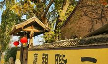 低调是一棵站在山顶的矮树