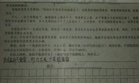 有800字的阳光成分