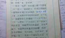 我的偶像初中作文