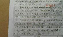 玩得真高兴作文