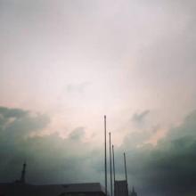 我发现了生命的美丽