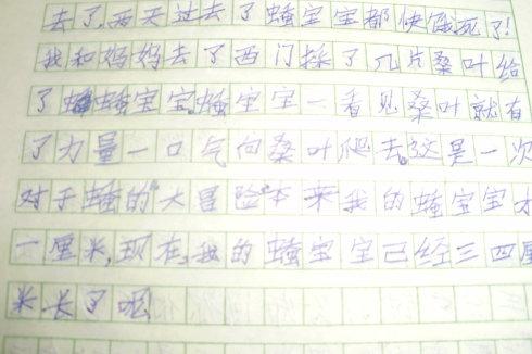 自己的阳光组成