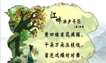 我是春天的小雨点作文