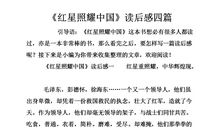 闪闪红星读后感