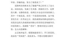 心中的太阳作文600字