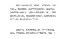 元旦见闻作文300字