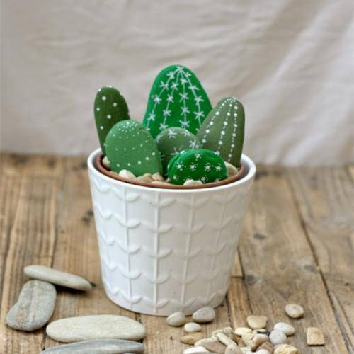 永远不会鼓掌的仙人掌