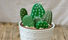 永不鼓掌的是仙人掌