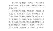 元旦趣事作文400字