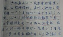 寒假见闻作文800字