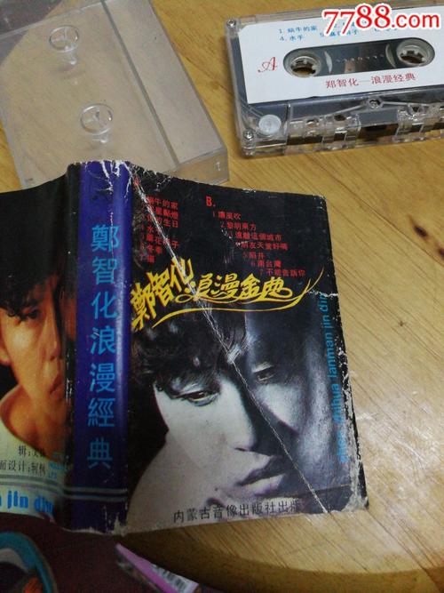 郑志华的经典句子