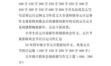 元旦趣事作文500字