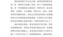 元旦趣事作文600字