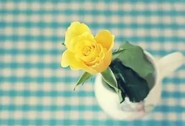 宽容是一种美德