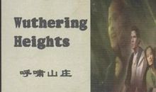 呼啸山庄中文读后感