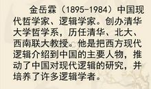 金岳霖先生读后感