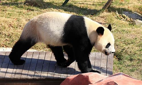 北京动物园的组成