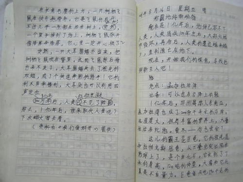我朋友的作文300字