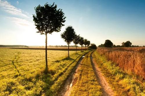 刘良成的经典语录