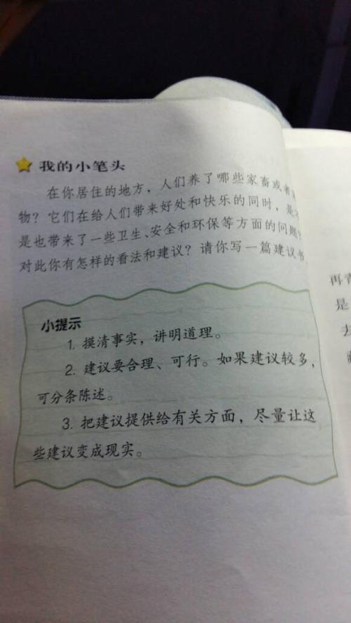 撰写建议书600字