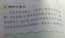 写建议书的作文600字