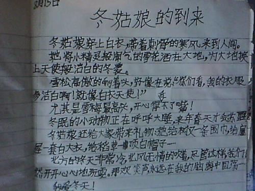 关于雪的日记