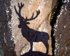 一生中无需担心的二十件事