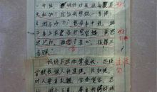 我的收藏作文500字