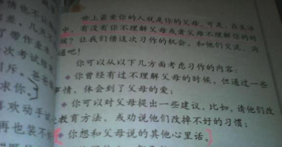 农历新年趣味作文350字