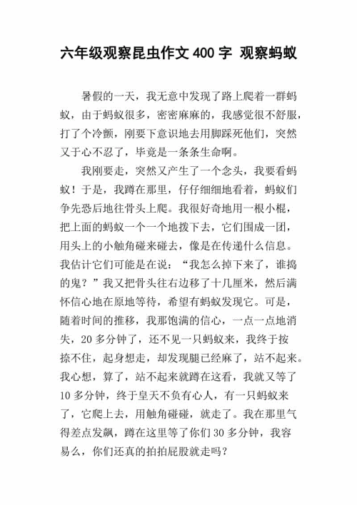 关于观察昆虫的组成