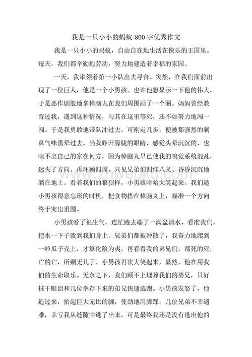 如果我是蚂蚁写作