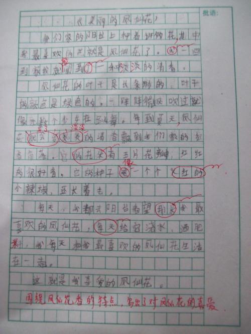 关于花的500个单词