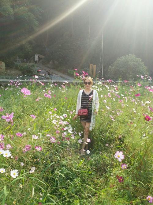 经典句：原谅自己的错误和伤害，继续前进