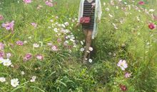 经典语句：原谅自己的错和伤，往前走