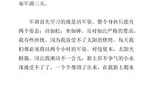 军训生活的作文