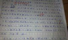 震撼我心灵的作文