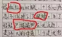 我的故事小学生作文