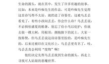 乌丢丢读后感100字