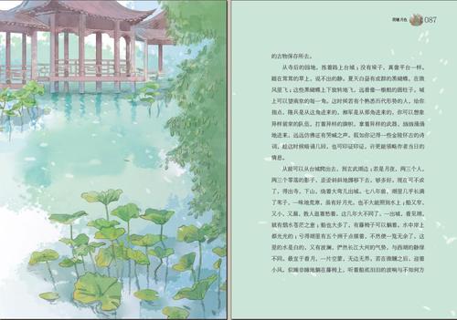 看完荷花池的夜晚