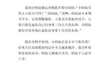 观察蚂蚁的作文