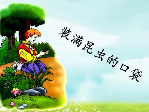 看完装满昆虫的口袋后