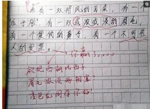 同学之间的小学生组成