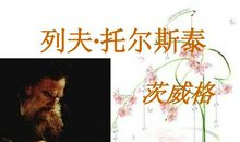 列夫托尔斯泰读后感