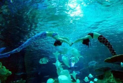 青岛海底世界的组成