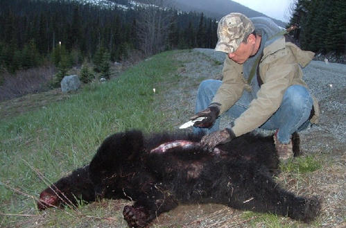 植物对人类的启示