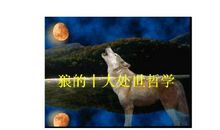 狼的十大处世哲学