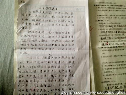 倾听自然并感受生活组成