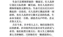 温暖的力量作文