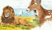 动物给我们的启示